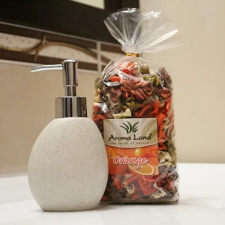 Pensiunea Junior ゲストハウス 3*